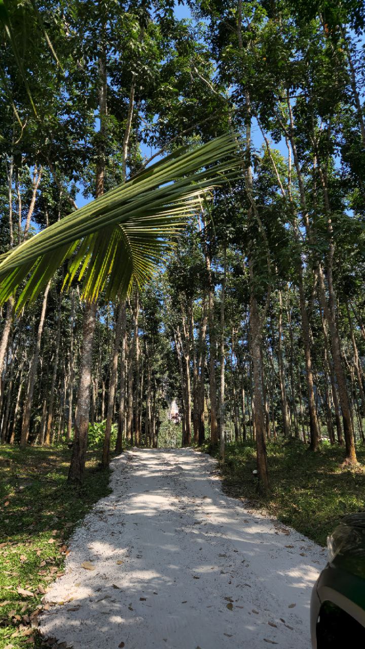 Фото к отзыву