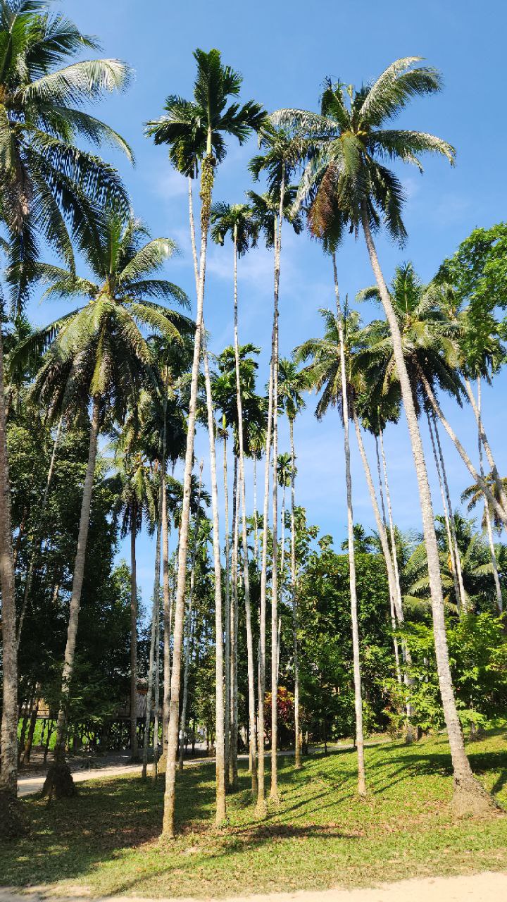 Фото к отзыву