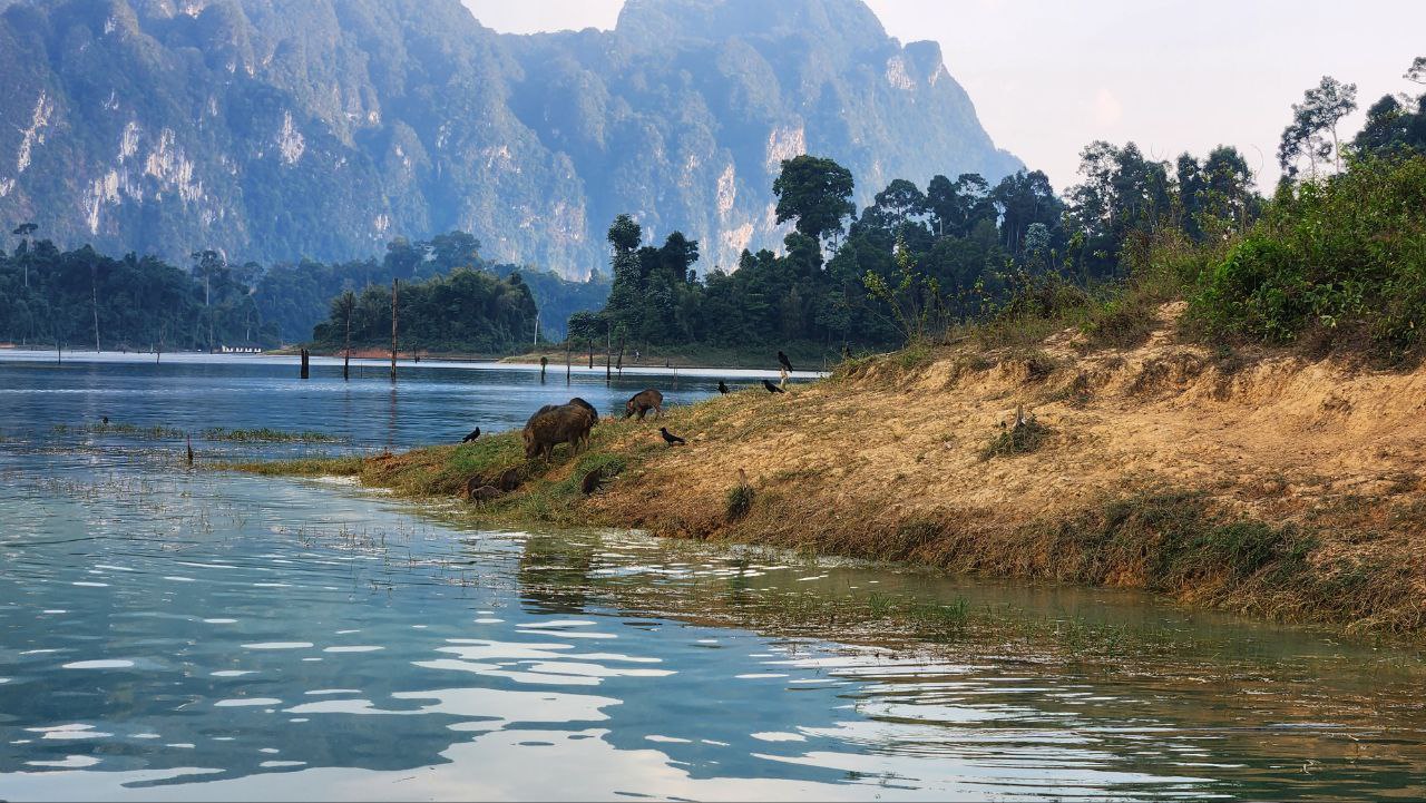 Фото к отзыву