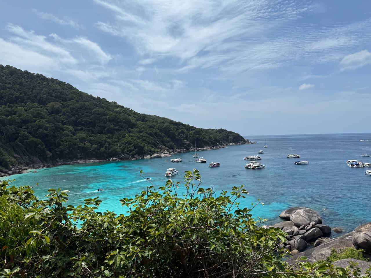 Фото к отзыву