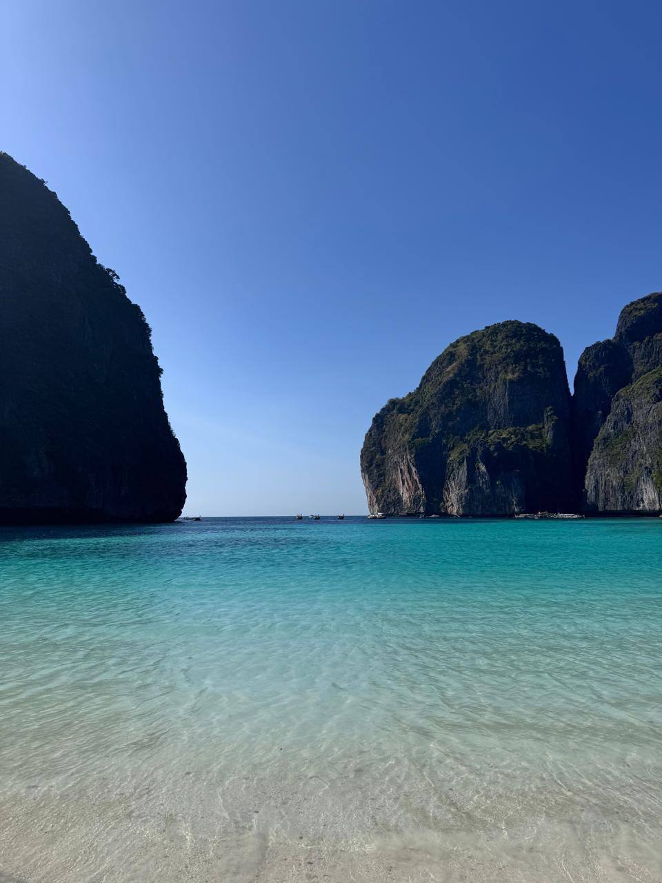 Фото к отзыву