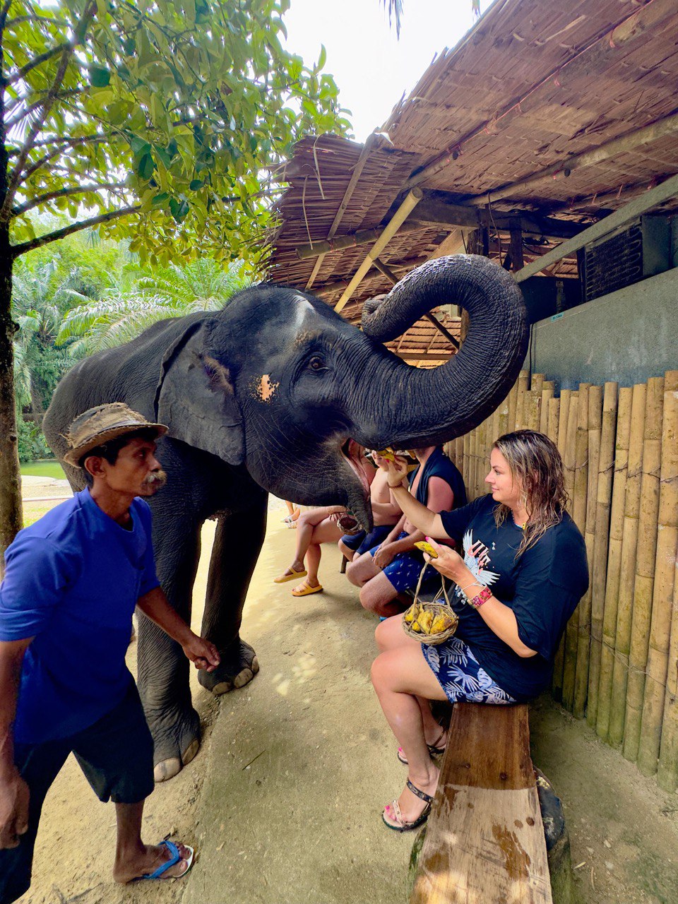 Фото к отзыву