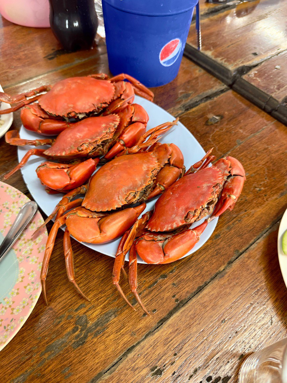 Фото к отзыву