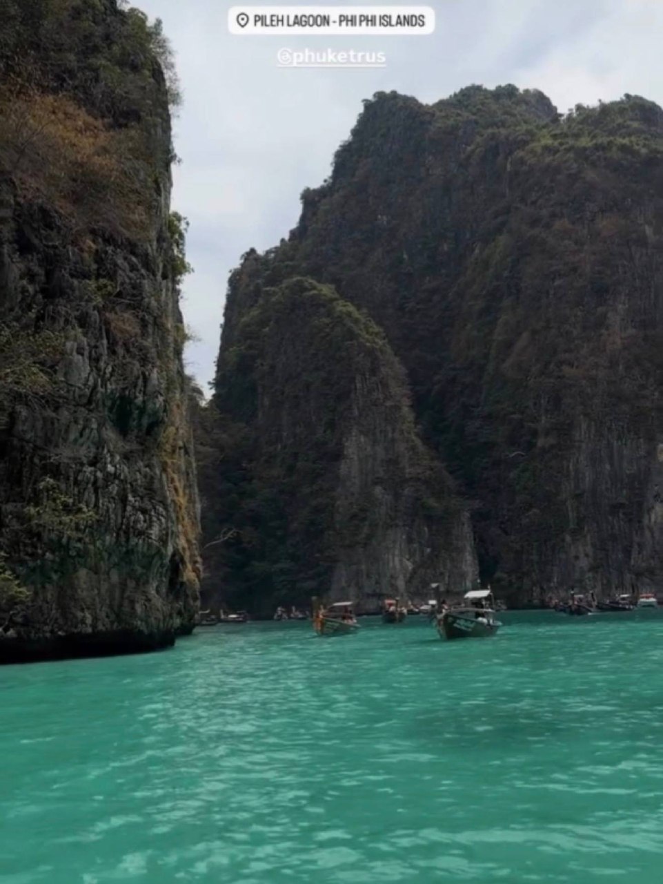 Фото к отзыву