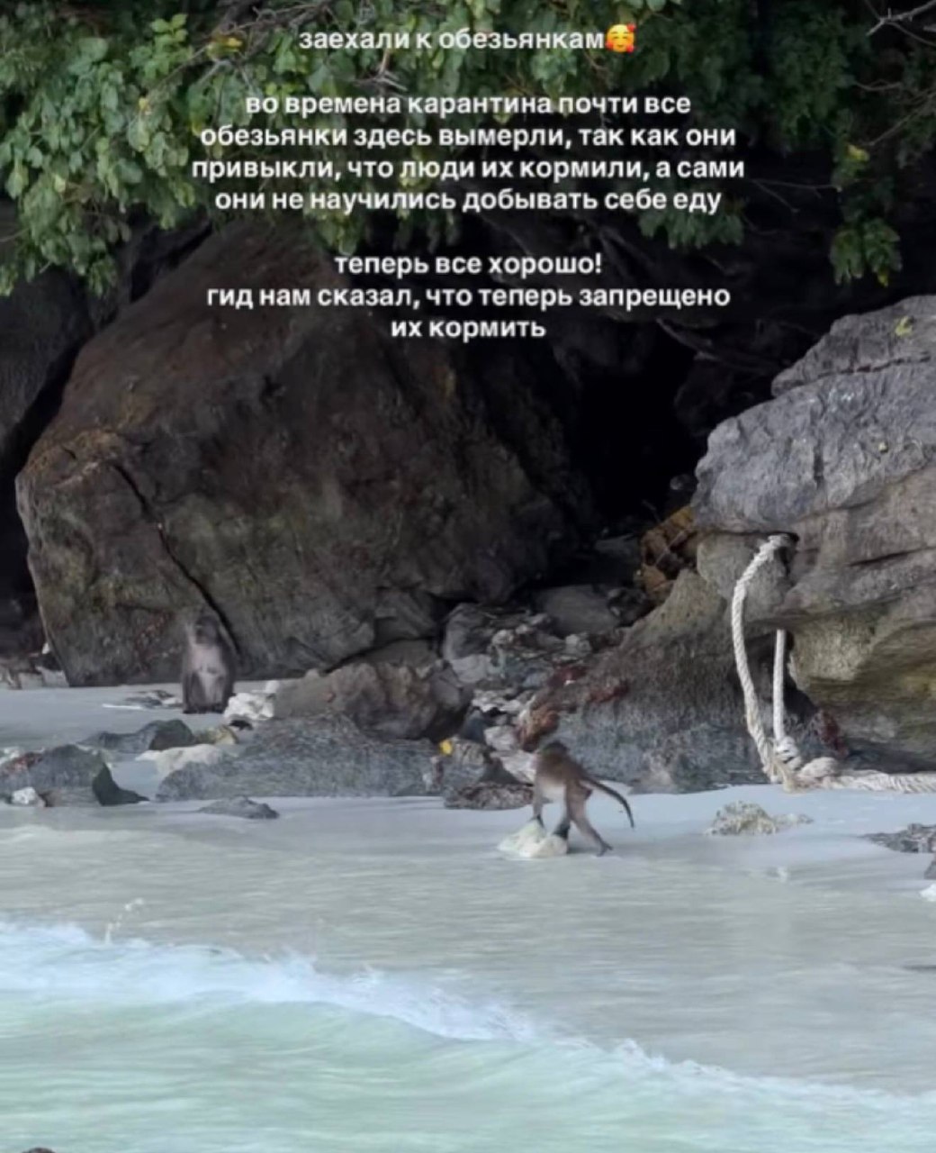 Фото к отзыву